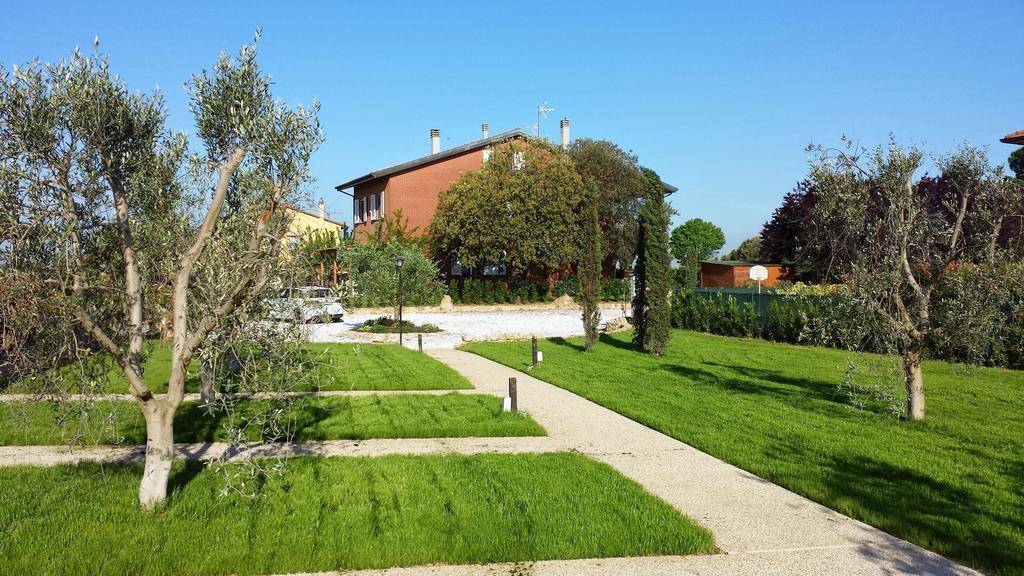 Azienda Agrituristica Il Poggetto Delle Spighe Collesalvetti Kamer foto