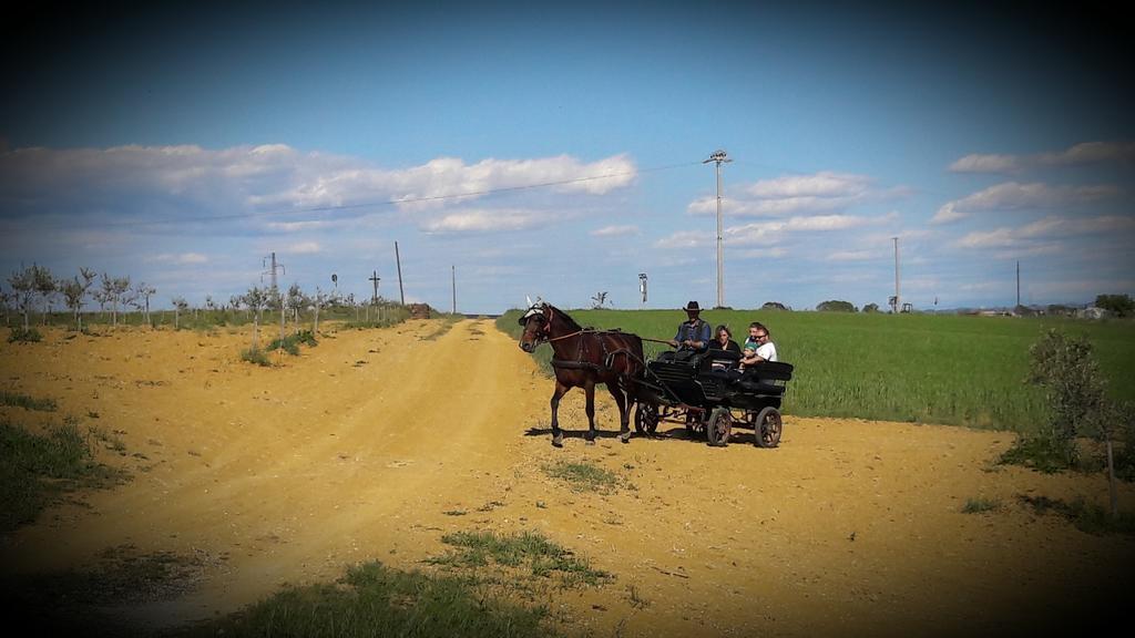 Azienda Agrituristica Il Poggetto Delle Spighe Collesalvetti Buitenkant foto
